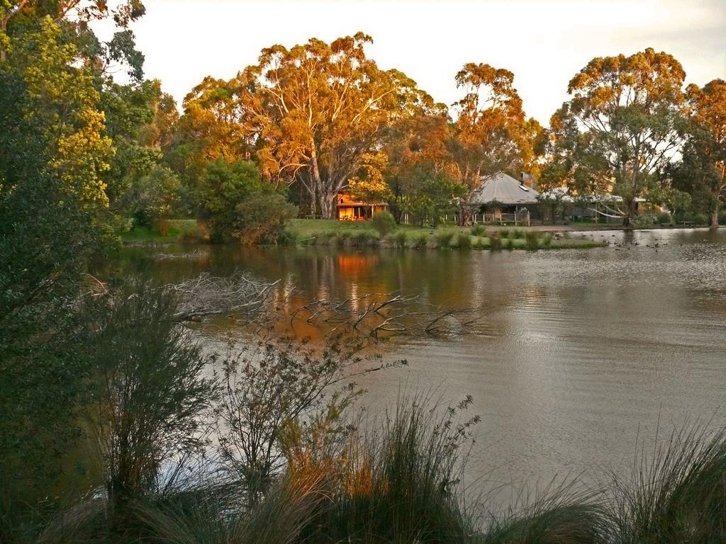 Вілла The Burrow At Wombat Bend Dixons Creek Номер фото