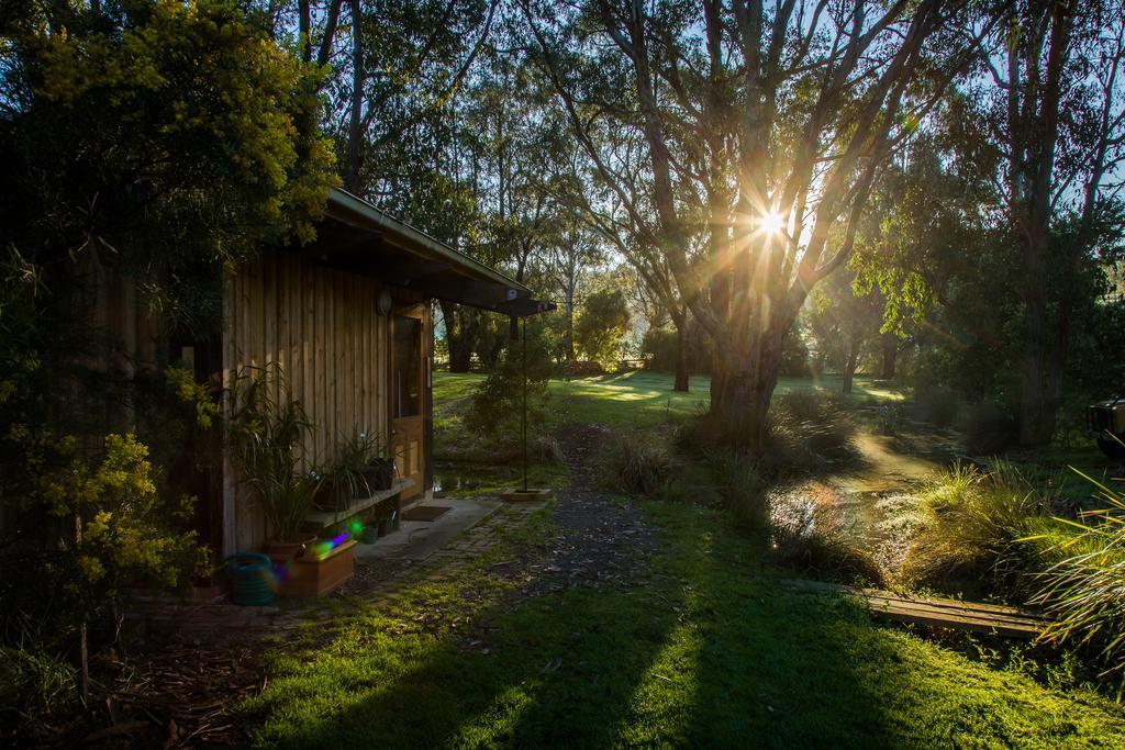 Вілла The Burrow At Wombat Bend Dixons Creek Екстер'єр фото