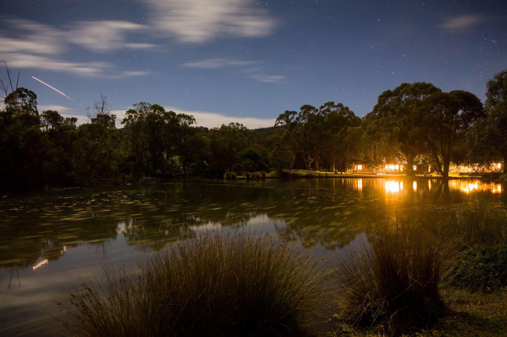 Вілла The Burrow At Wombat Bend Dixons Creek Екстер'єр фото