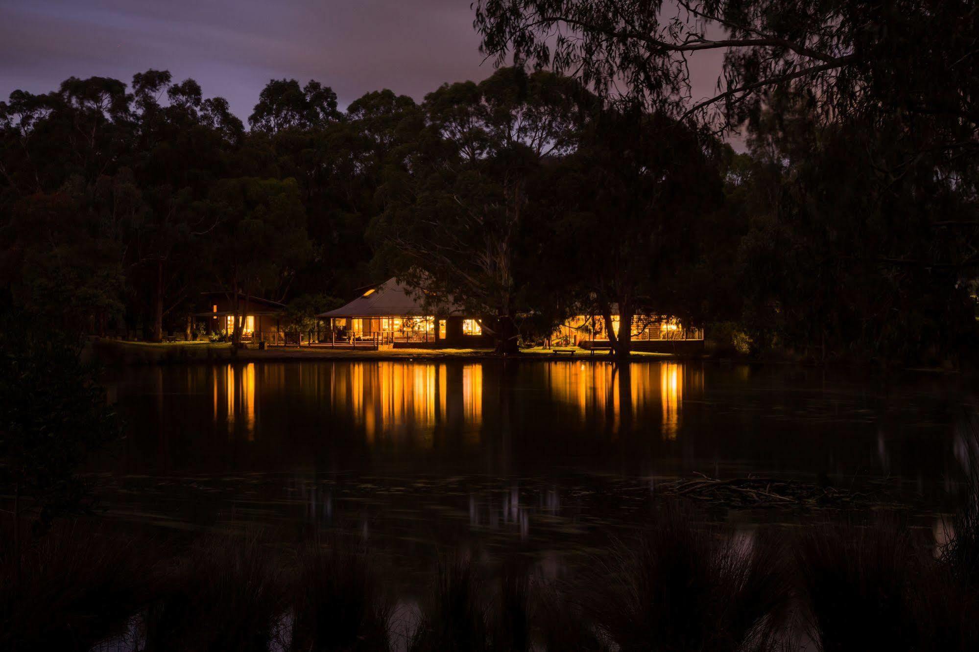 Вілла The Burrow At Wombat Bend Dixons Creek Екстер'єр фото
