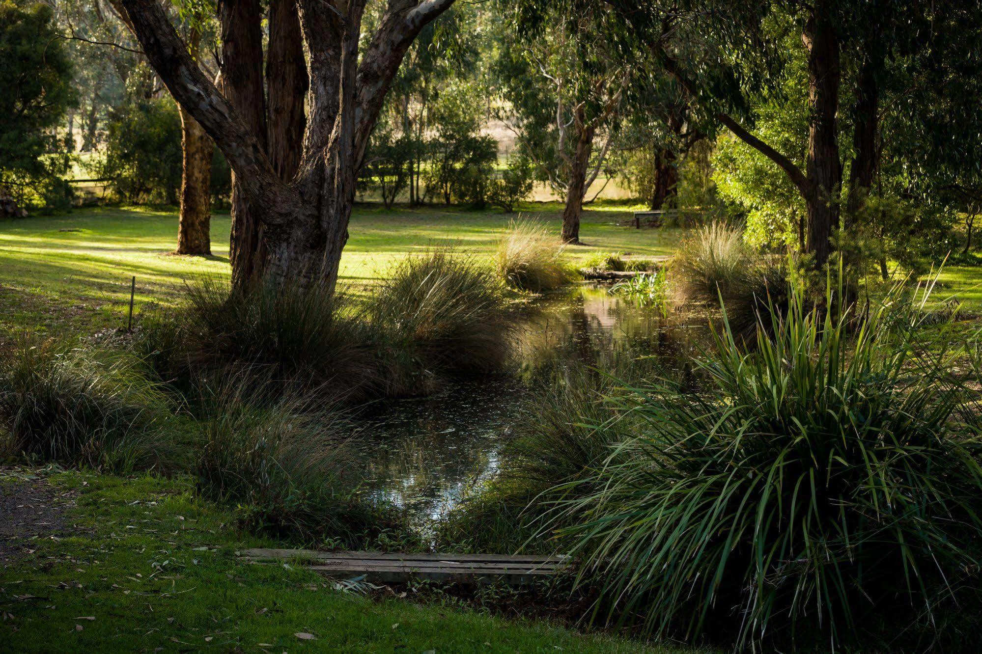 Вілла The Burrow At Wombat Bend Dixons Creek Екстер'єр фото