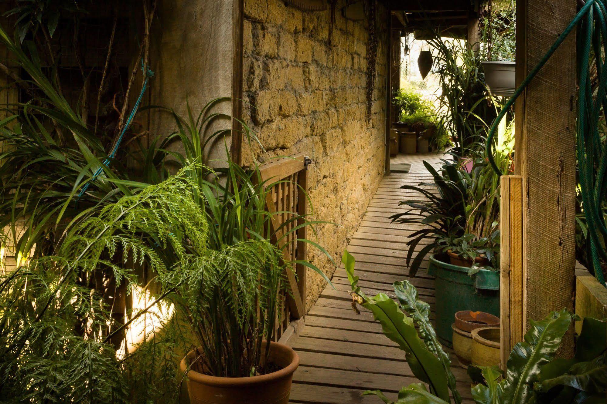 Вілла The Burrow At Wombat Bend Dixons Creek Екстер'єр фото