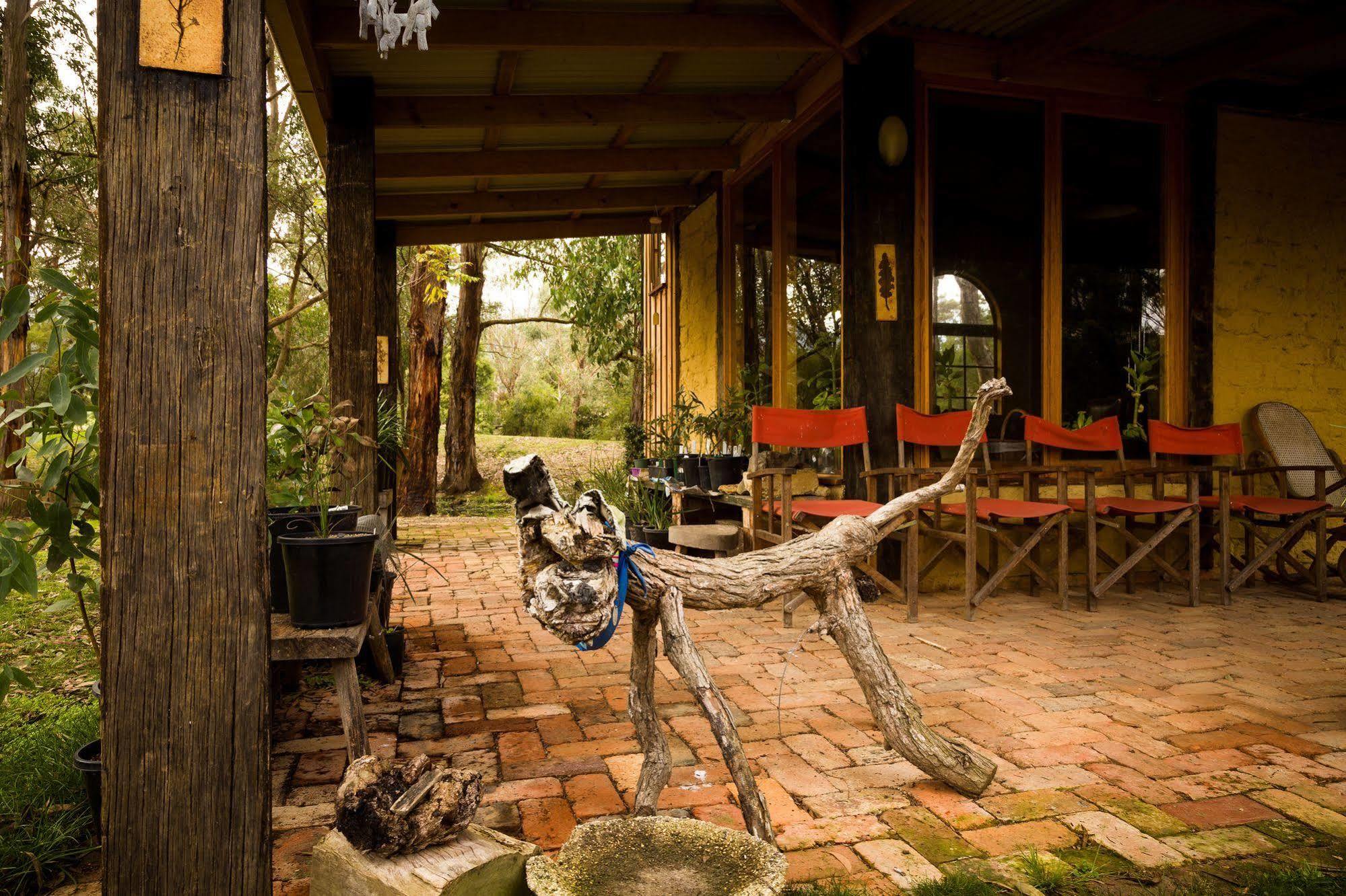 Вілла The Burrow At Wombat Bend Dixons Creek Екстер'єр фото